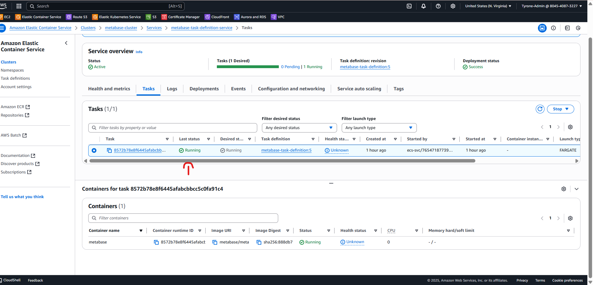 Metabase Task Running